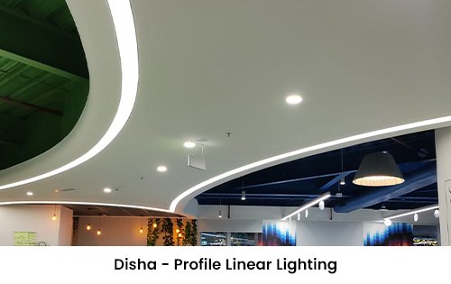 our project