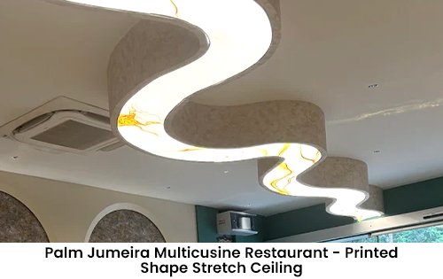 our project
