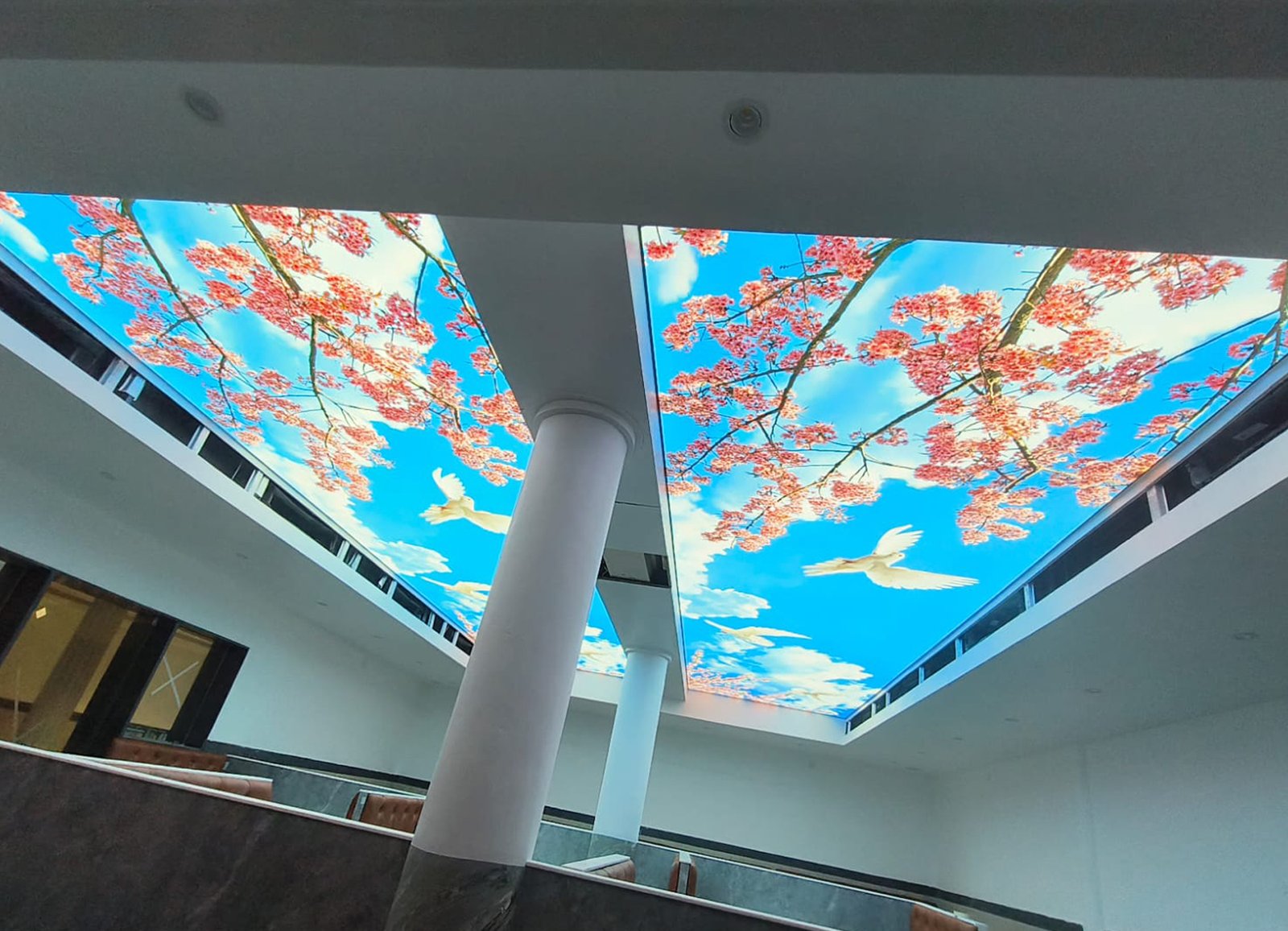 Printed Stretch Ceiling